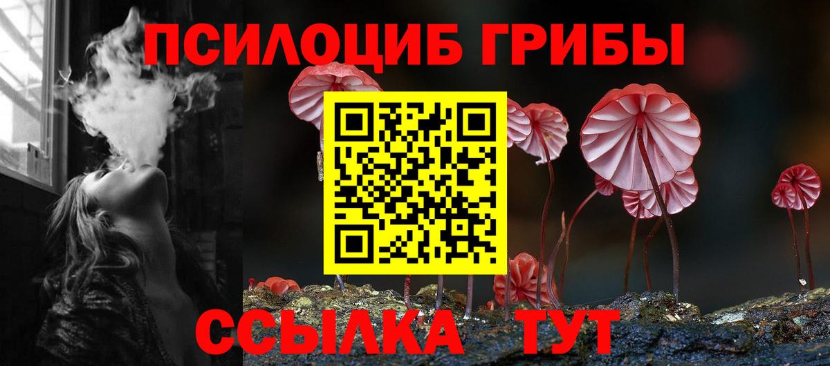 Котовск  Псилоцибиновые грибы ЛСД  Псилоцибиновые грибы прущие грибы  Вход с VPN 